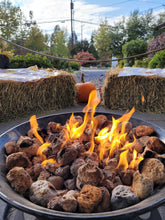 Load image into Gallery viewer, Bees & Cheese! A cozy fireside fall experience on the farm