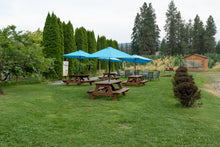 Load image into Gallery viewer, Buzz & Bites! Luncheon for 2 with wine tastings!