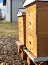 Load image into Gallery viewer, The Secret Life of Bees! STARTS APRIL 17th