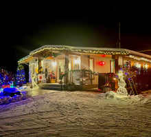 Load image into Gallery viewer, Bee Merry & Bright Holiday Light Up