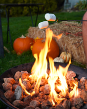 Load image into Gallery viewer, Smokies and S'mores! Fall experience on the Farm

