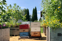 Load image into Gallery viewer, Blackberry Fest! STARTS SEPTEMBER 1st!
