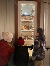 Load image into Gallery viewer, Bee Merry &amp; Bright Holiday Light Up
