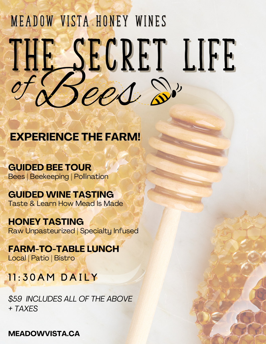 The Secret Life of Bees